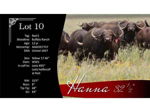 ~/upload/Lots/1472/AdditionalPhotos/usosatprmoe5m/10 Hanna Info_t600x450.jpg